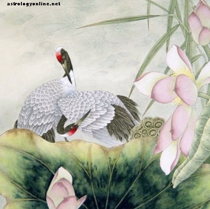 Živalski vodniki - Feng Shui Živalski simboli dobre sreče