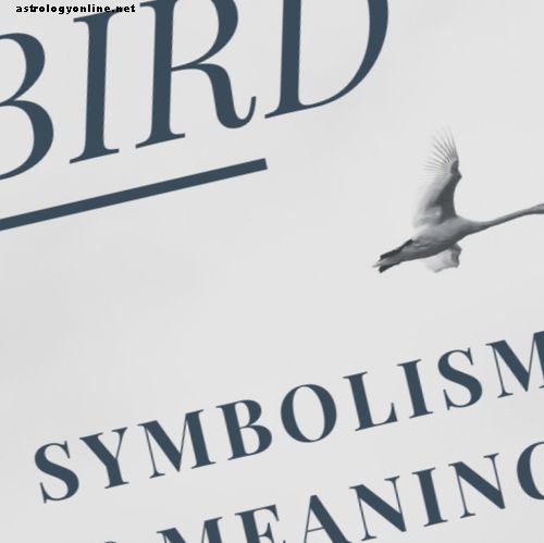 وأوضح رمز الطيور ، والمعاني الروحية ، والطوالع
