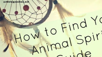 Come trovare la guida dello spirito degli animali