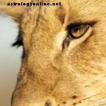 астрология - Как да се разбираме - Близнаци и Лъв