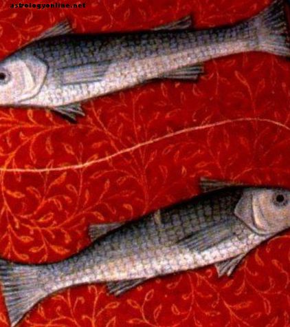 Astrologie - Eine Fischfrau verstehen