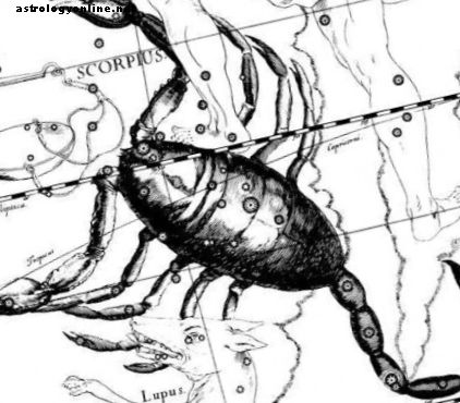 Wie man ein Skorpion-steigendes Zeichen versteht