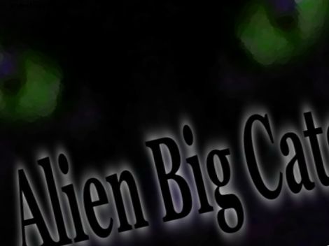 Alien Big Cats in het VK en de wereld rond