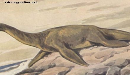 Teorije o pošastih iz Loch Ness-a: Je to živi pleziozaver?
