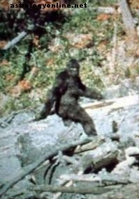 Wurde Bigfoot von alten Außerirdischen auf die Erde gebracht?