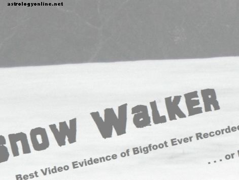 Snow Walker: أفضل دليل على الفيديو من أي وقت مضى أو خدعة؟