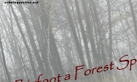 Чи Білий ніг ​​- це лісовий дух?