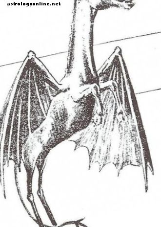 Jersey Devil Sightings and the Story Behind the Legend