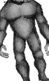 Kryptiden - Wo lebt Bigfoot in Nordamerika?