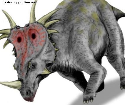 5 förhistoriska djur som fortfarande kan existera idag