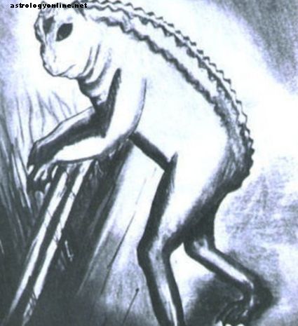 Жаба Лавленд: монстр, інопланетянин або втечений вихованець?