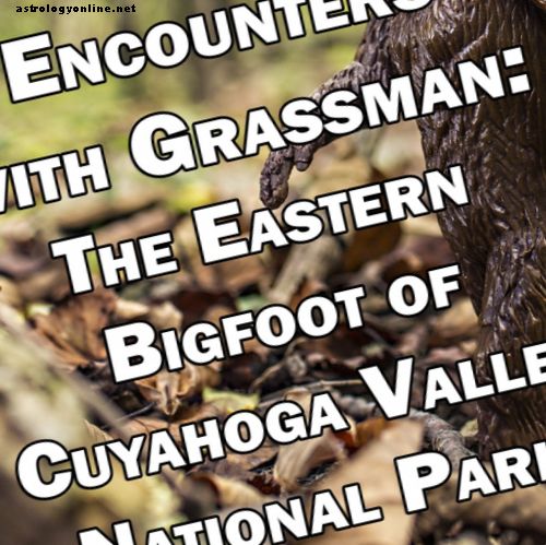Встречи с Грассманом: Восточный снежный человек национального парка долины Куйахога