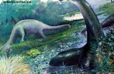 Мокеле Мбембе: динозавр живет в Конго?