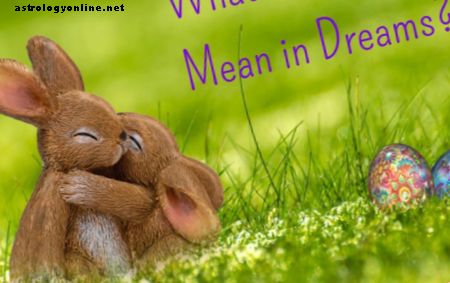 토끼에 대한 꿈은 무엇을 의미합니까?