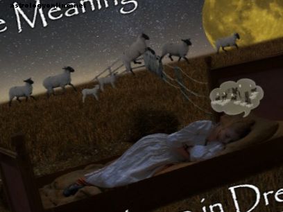 Was bedeuten Träume über Schafe und Lämmer?