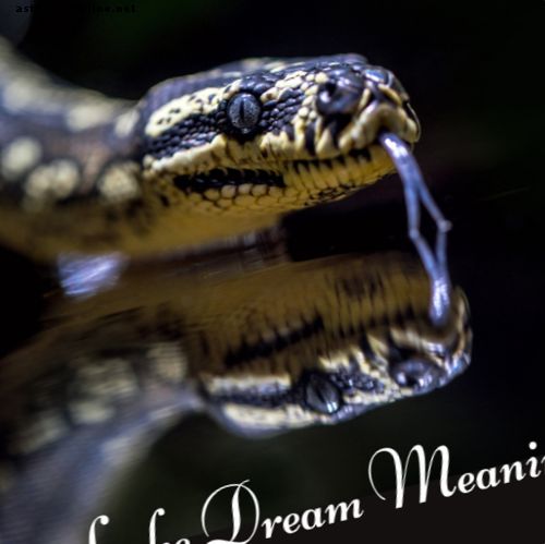 뱀의 꿈의 의미, 상징 및 해석
