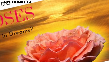 Dreams - Какво означават розите в сънищата?