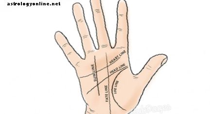 손바닥의 선은 무엇을 의미합니까?