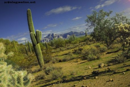 Locuri bântuite din Arizona