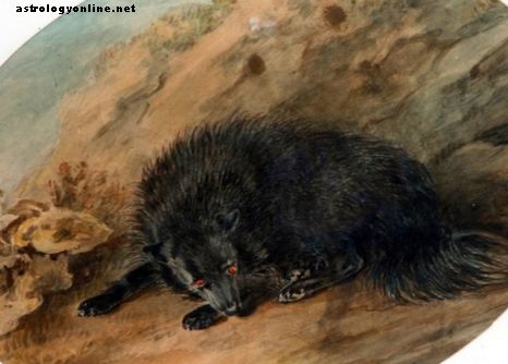 Fiendijski črni pes britanske folklore