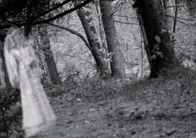 Încercări de investigare a descoperirii fantomelor britanice iluzive