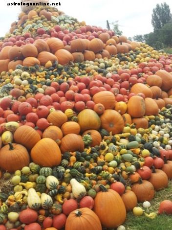 A Samhain Harvest Spell: Breng voorspoed in je leven