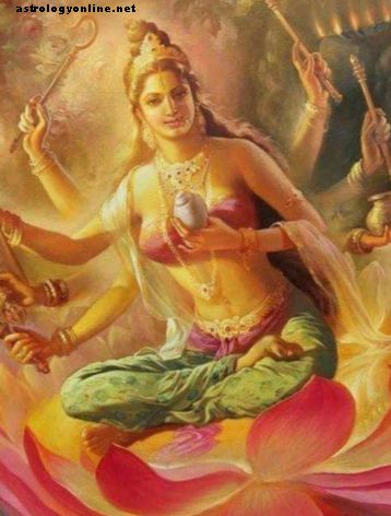 Het verkennen van de hindoe-godin Shakti